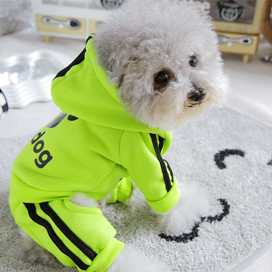 Pet Trendy Four-Legged Pet Clothing Pet Bichon Pomeranian Schnauzer Small Size Dogs Puppy Poodle Dog Clothes Spring and Autumn Clothing