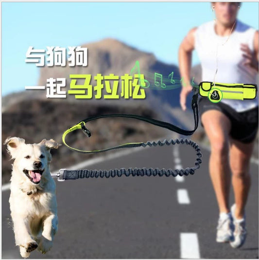 Dog Running Rope Waterproof Hand Holding Rope Waist Bag Small and Medium-Sized Dogs Dog Leash Multifunctional Outdoor Exercise Sports Traction