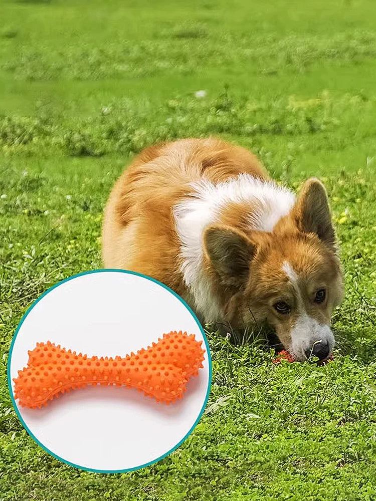 Dog Toy Bone Molar Rod Bite-Resistant Puppy Teddy/French Bulldog Golden Retriever Large, Medium and Small Dogs Munchkin Soothing Chews Pet Supplies