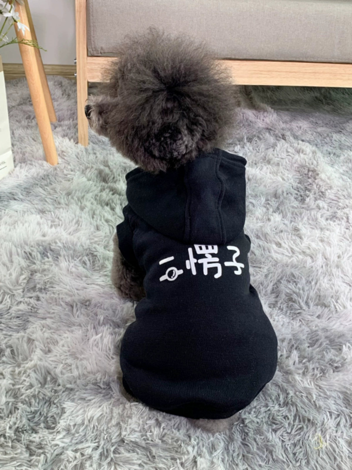 Pet Clothes Big Sale Autumn and Winter Thin Velvet Hooded Two-Leg Sweater Cat Teddy Bichon Jarre Aero Bull Small and Medium-Sized Dogs Dog