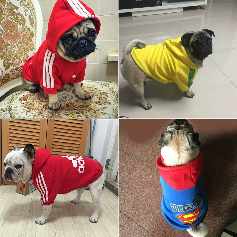 Pug Small and Medium-Sized Dogs Hoodie Fleece Jarre Aero Bull