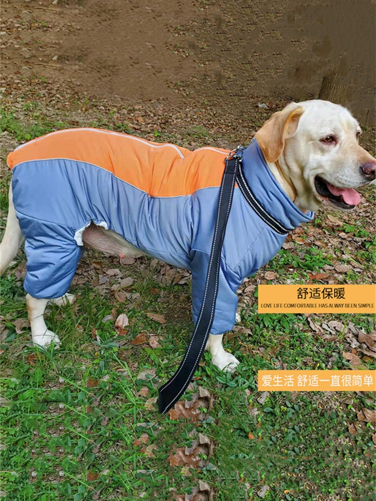 Pet Dog Clothes Medium to Large Dogs Samo Golden Wool Cotton-Padded Clothes Thickened Fleece-lined Windproof Warm Leisure Four-Leg Clothes