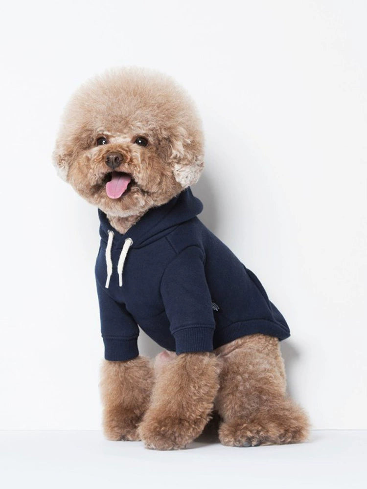 Sniff Pet Dog Cat Autumn and Winter Clothes Teddy Small Size Dogs Fleece Hooded Solid Color Casual Sweatshirt New