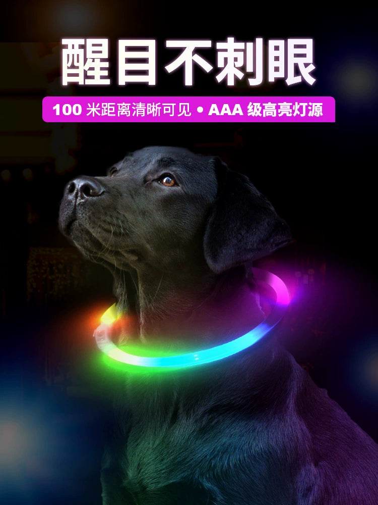 Dog Luminous Collar Night Walking Dog Luminous Night Light Big and Small Dogs Anti-Lost Charging Pet Collar with Light