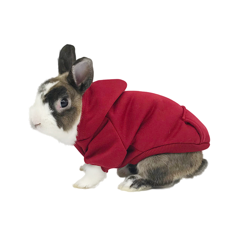 New Rabbit Autumn and Winter Clothes + Special Offer Warm Sweater Sweater Suspender Pants