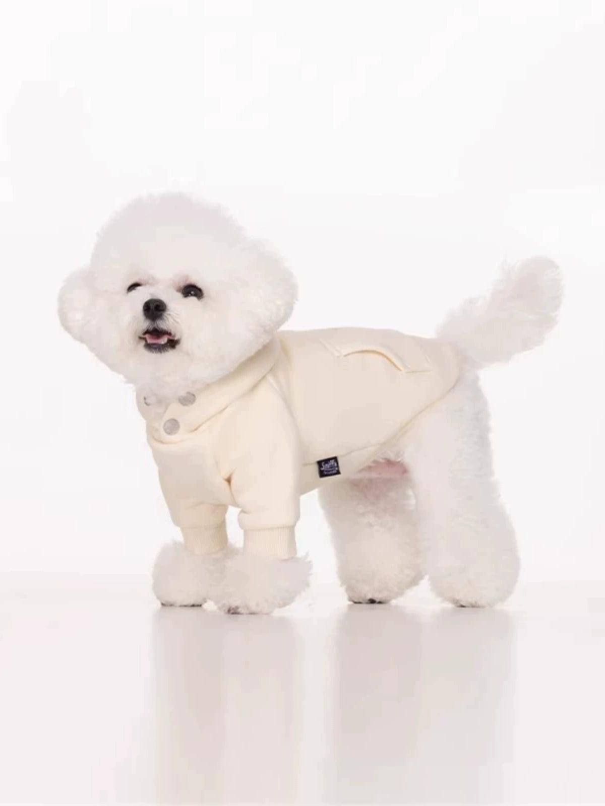 Sniff Pet Dog Cat Autumn and Winter Clothes Two-Legged Sweater Teddy Bichon Schnauzer Small and Medium-Sized Dogs Clothes