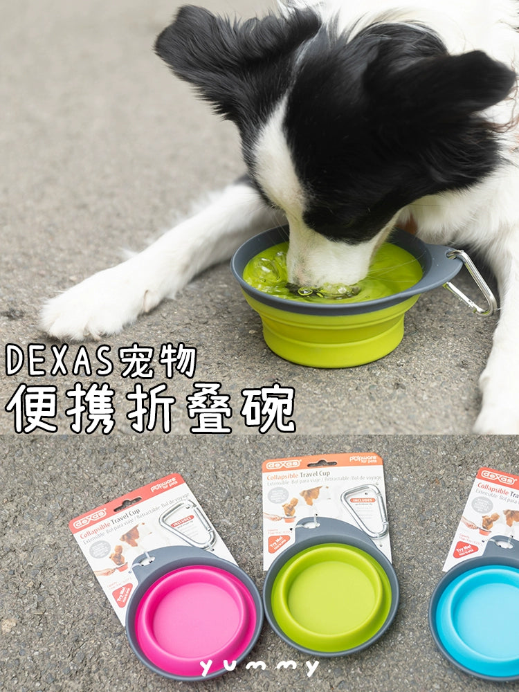 Dexas Portable Folding Bowl Outdoor Puppy Walking Dog