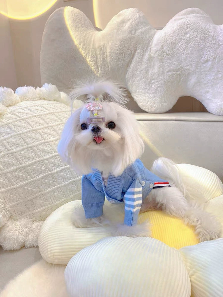 Dog Autumn and Winter Clothes Pet Sweater Cardigan Maltese Bichon Teddy/Pomeranian Small Size Dogs Cat Autumn and Winter Clothing