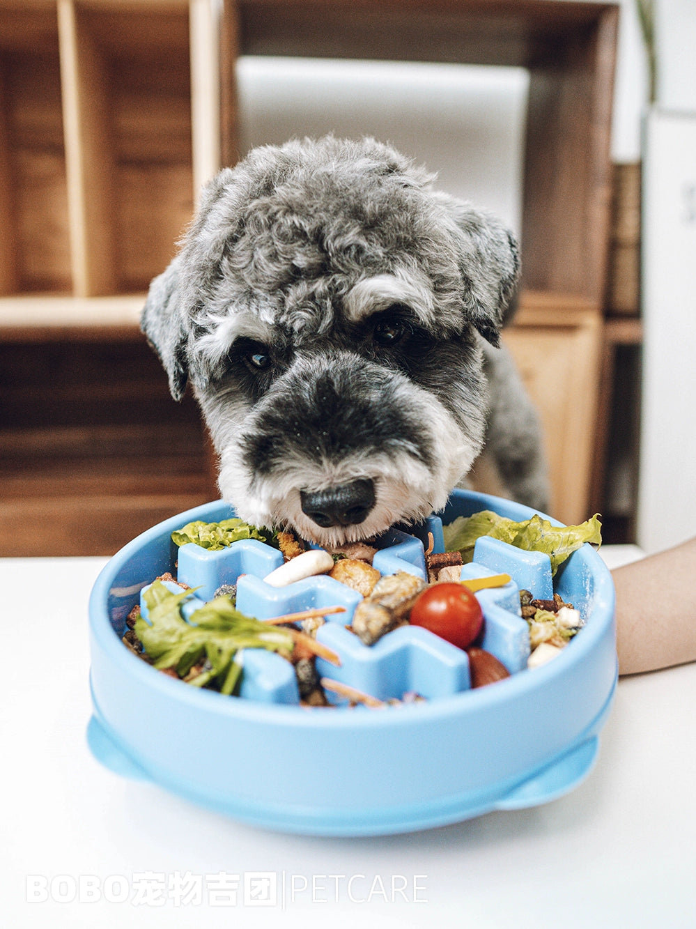 Kyjen US Anti-Sniffing Teddy/Golden Retriever Slow Food Bowl Dog