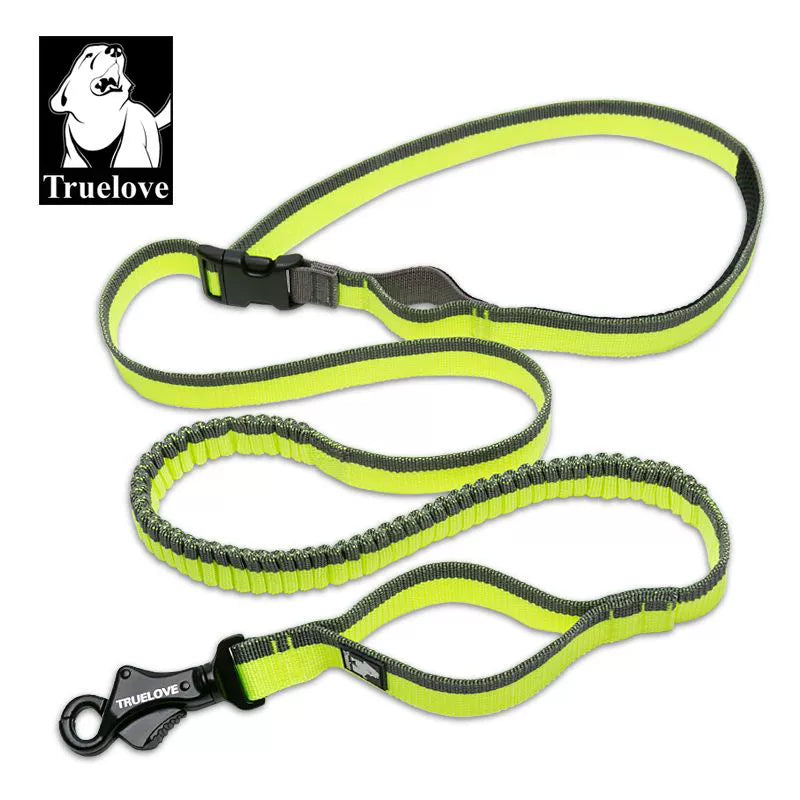 Dog Running Bungee Leash Hand-held Waistworn Adjustable Nylo