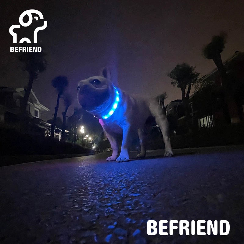 Dog Luminous Collar USB Charging Flash Collar Pet Luminous Anti-Lost Collar Teddy Night Dog Walking Light