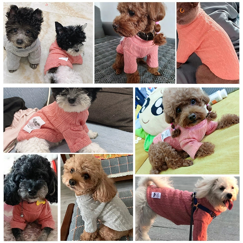 Pet Cute Clothes Autumn Dog Casual Two Feet Apparel Cat Clothing Winter Small Size Dogs Bichon Teddy Bottoming Sweater