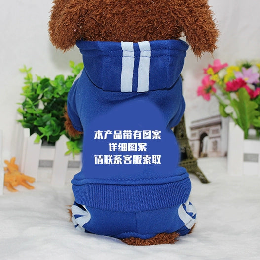 Teddy Pet Costume Small Dog Cotton-Padded Clothes for Autumn and Winter Totoro