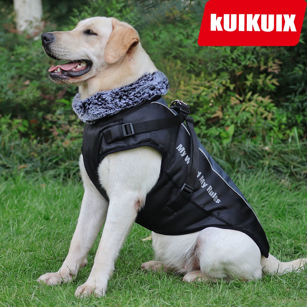 Autumn and Winter Large Dog Clothes Warm Reflective Dog Thickened Dog Shell Jacket Golden Retriever Labrador Medium and Large Pet Coat