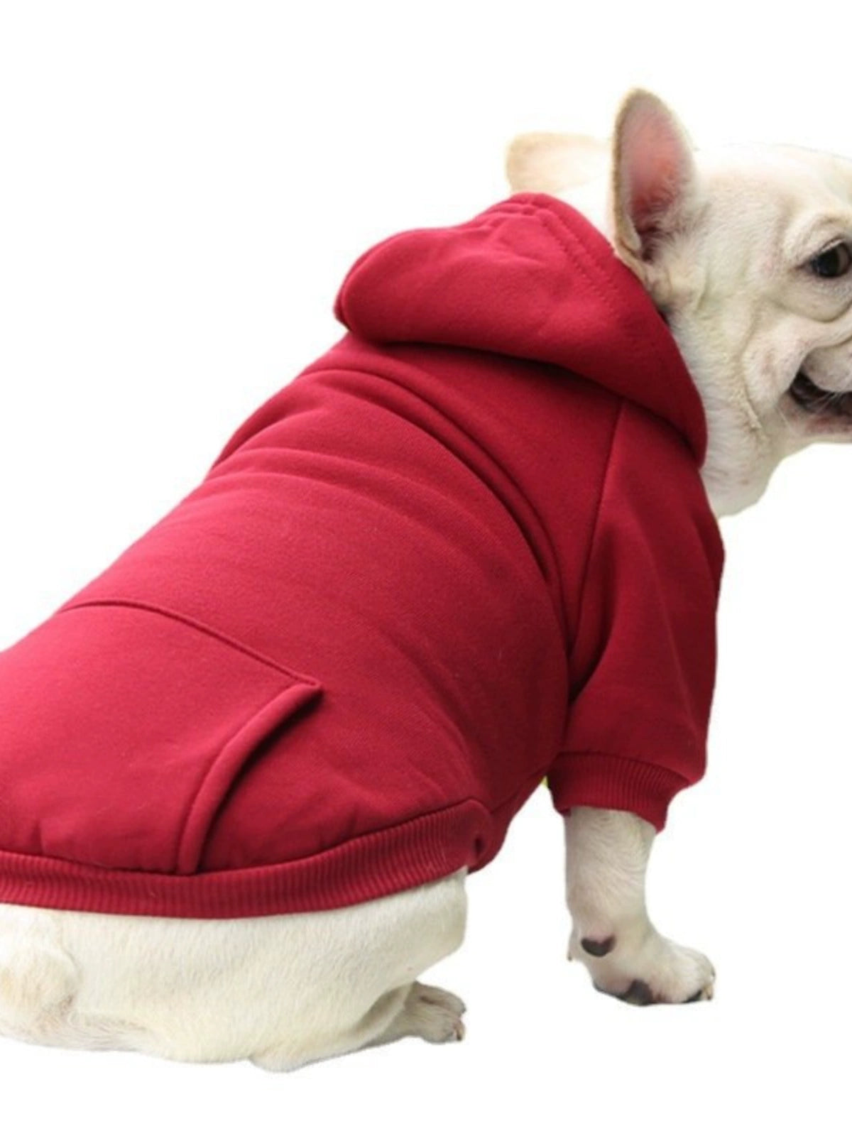 Autumn Winter Sweater Denim Pocket Two-Legged Clothes Sports Style Pet Clothes Dog Cat Clothes Pet Supplies