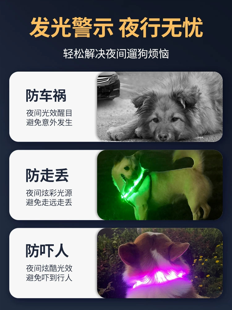 Dog Luminous Collar Night Walking Dog Luminous Night Light Big and Small Dogs Anti-Lost Charging Pet Collar with Light