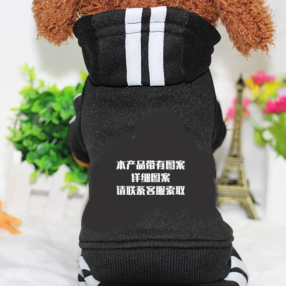 Teddy Pet Costume Small Dog Cotton-Padded Clothes for Autumn and Winter Totoro