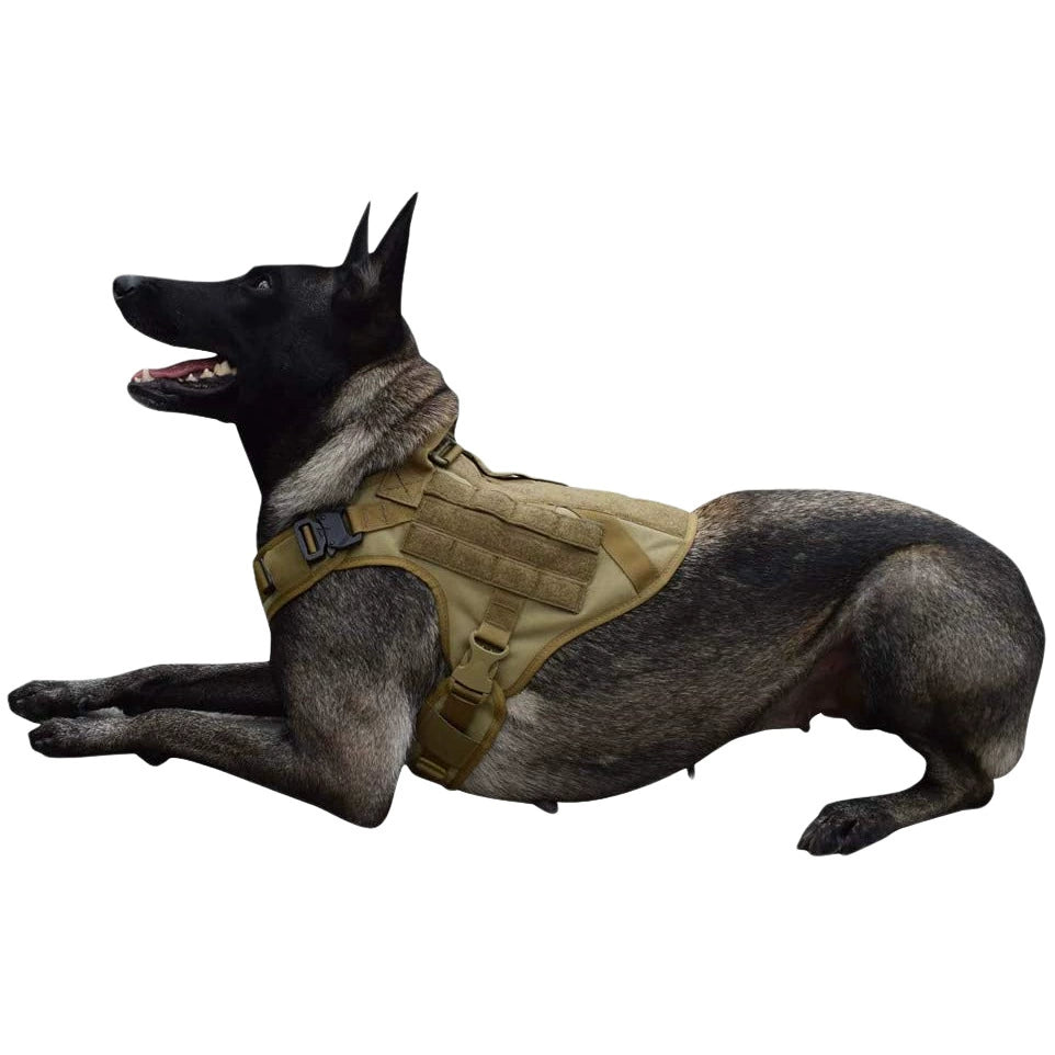 1000D Outdoor Medium Large Dog Tactical Molle Self-Carrying Vest Pet Dog Cobra Buckle Quick Take off Dog Clothes