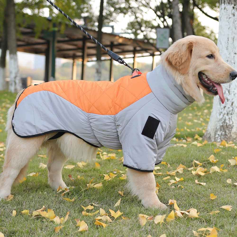 Dog Clothes Autumn and Winter Clothes Medium Large Dog Corgi Golden Retriever Puppy Special Winter Heattech Thick down Jacket Cotton-Padded Clothes