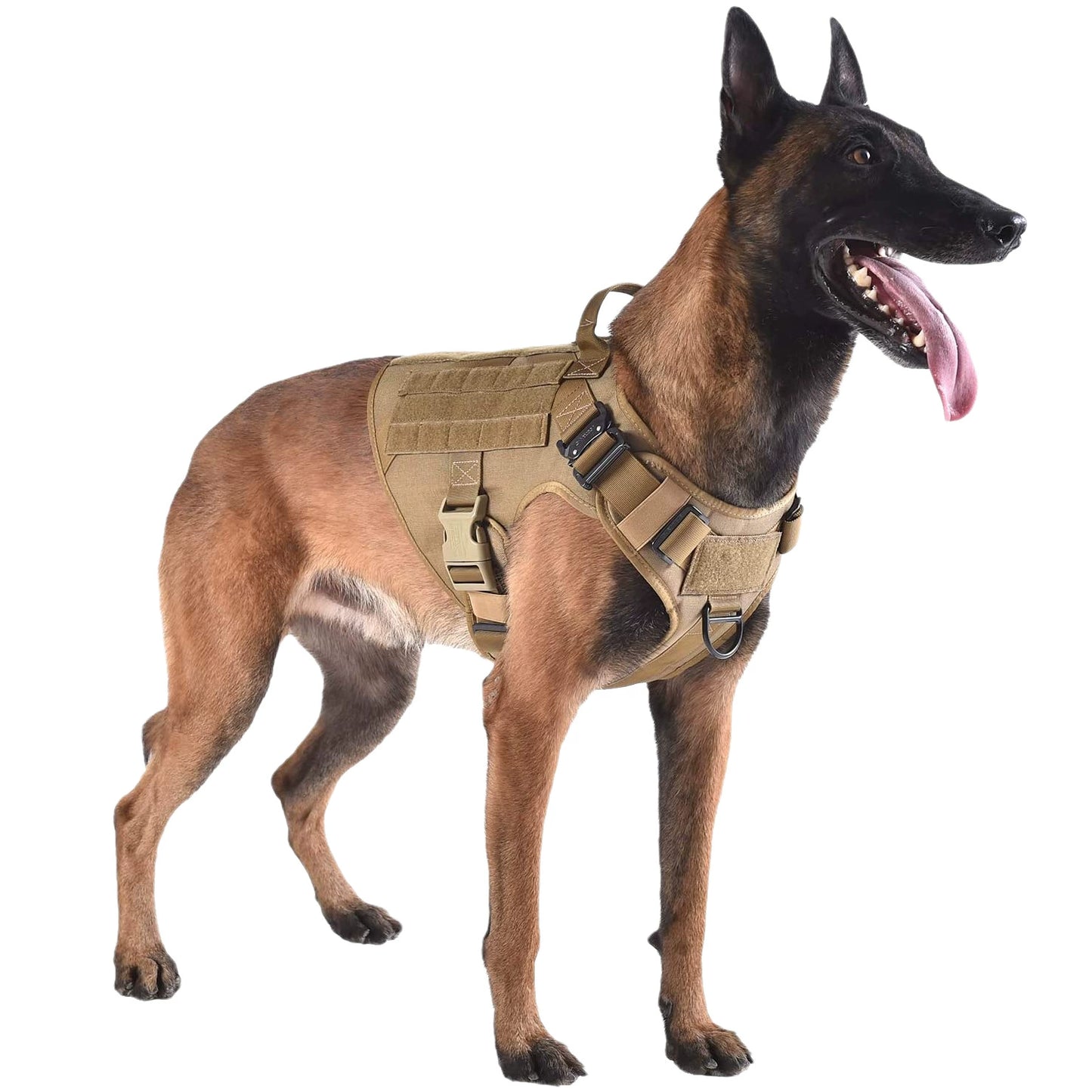 1000D Outdoor Medium Large Dog Tactical Molle Self-Carrying Vest Pet Dog Cobra Buckle Quick Take off Dog Clothes