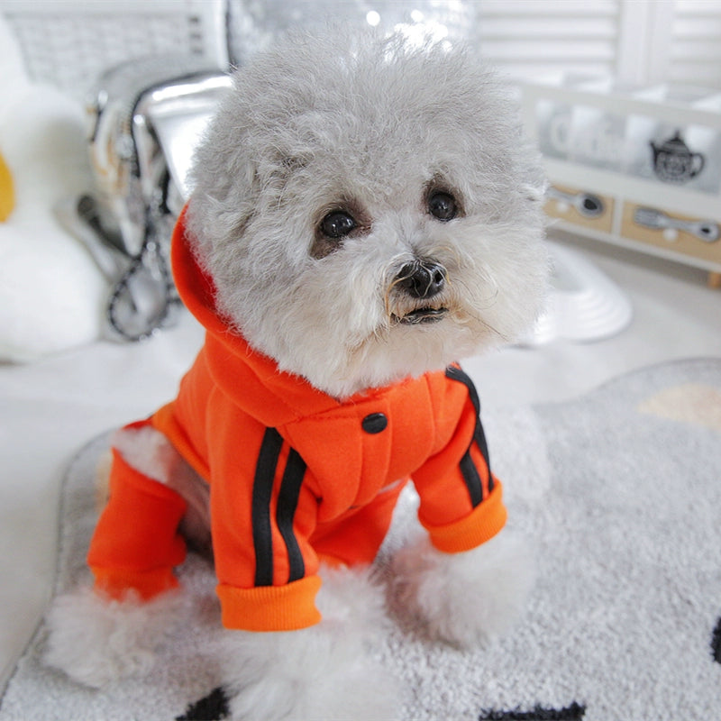 Pet Trendy Four-Legged Pet Clothing Pet Bichon Pomeranian Schnauzer Small Size Dogs Puppy Poodle Dog Clothes Spring and Autumn Clothing