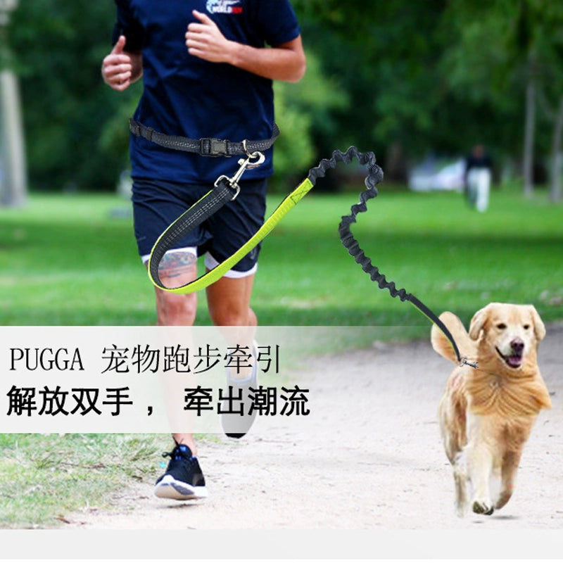 Dog Running Rope Waterproof Hand Holding Rope Waist Bag Small and Medium-Sized Dogs Dog Leash Multifunctional Outdoor Exercise Sports Traction