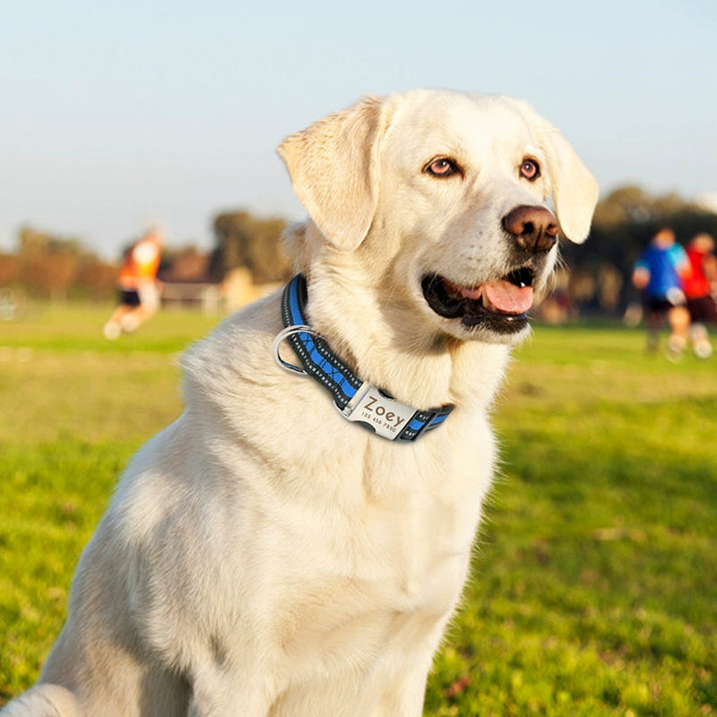 Dog Collar Pet Supplies Collar Night Reflective Collar Small Size Dogs Golden Retriever Bandana Lettering Anti-Lost