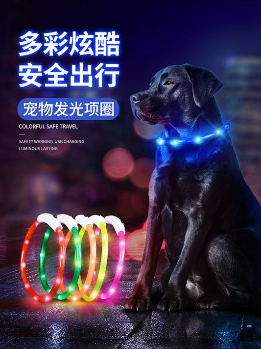 Dog Luminous Collar Night Walking Dog Luminous Night Light Big and Small Dogs Anti-Lost Charging Pet Collar with Light