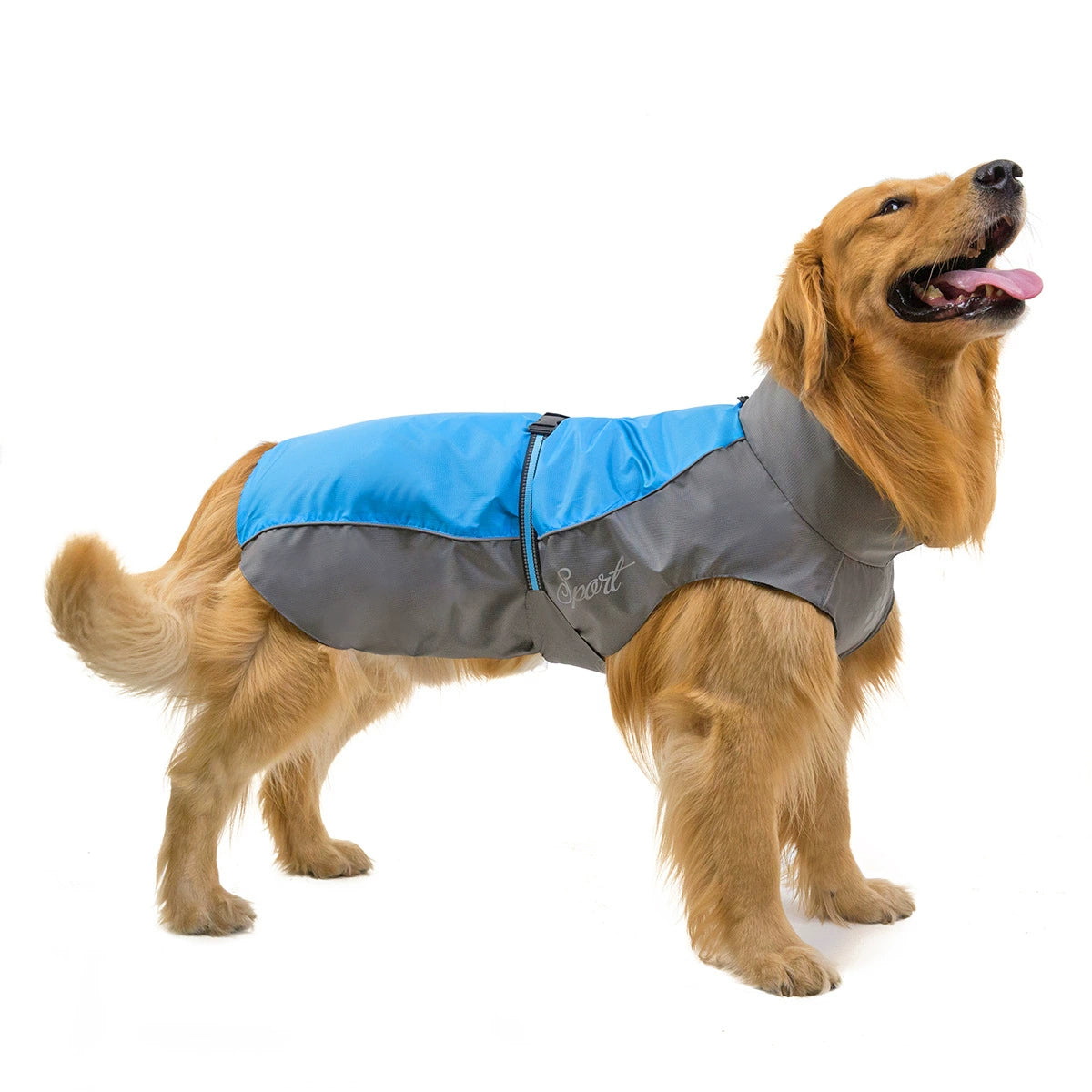 Dog Clothes Pet Large Dog Shell Jacket Raincoat Blue Red Cloak Clothes Windproof and Rainproof Raincoat