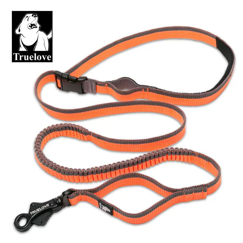 Dog Running Bungee Leash Hand-held Waistworn Adjustable Nylo