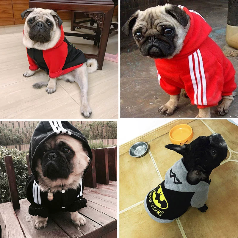 Pug Small and Medium-Sized Dogs Hoodie Fleece Jarre Aero Bull