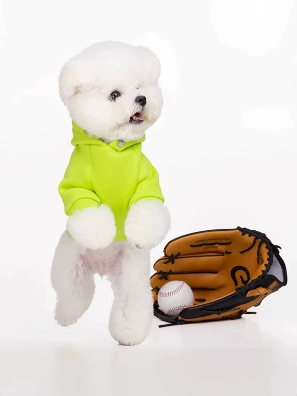 Sniff Pet Dog Cat Autumn and Winter Clothes Two-Legged Sweater Teddy Bichon Schnauzer Small and Medium-Sized Dogs Clothes