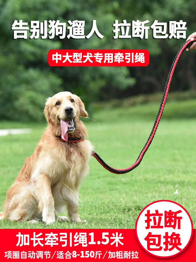 Dog Hand Holding Rope Medium Large Dog Golden Retriever Samoyed Alaska Dog Leash Adjustable Collar Dog Chain