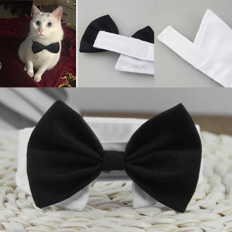 1PC Pet Puppy Dogs Adjustable Bow Tie Collar Necktie Bowknot Bowtie HoSPECIFICATIONSMaterial: nylonOrigin: Mainland ChinaCN: GuangdongItem Type: Tie &amp; Bow TieType: DogsChoice: yes
Features:

1.Adjustable neck girth, suitable for boShopDoggieworksShopDoggieworks1PC Pet Puppy Dogs Adjustable Bow Tie Collar Necktie Bowknot Bowtie Holiday Wedding Decoration Accessories