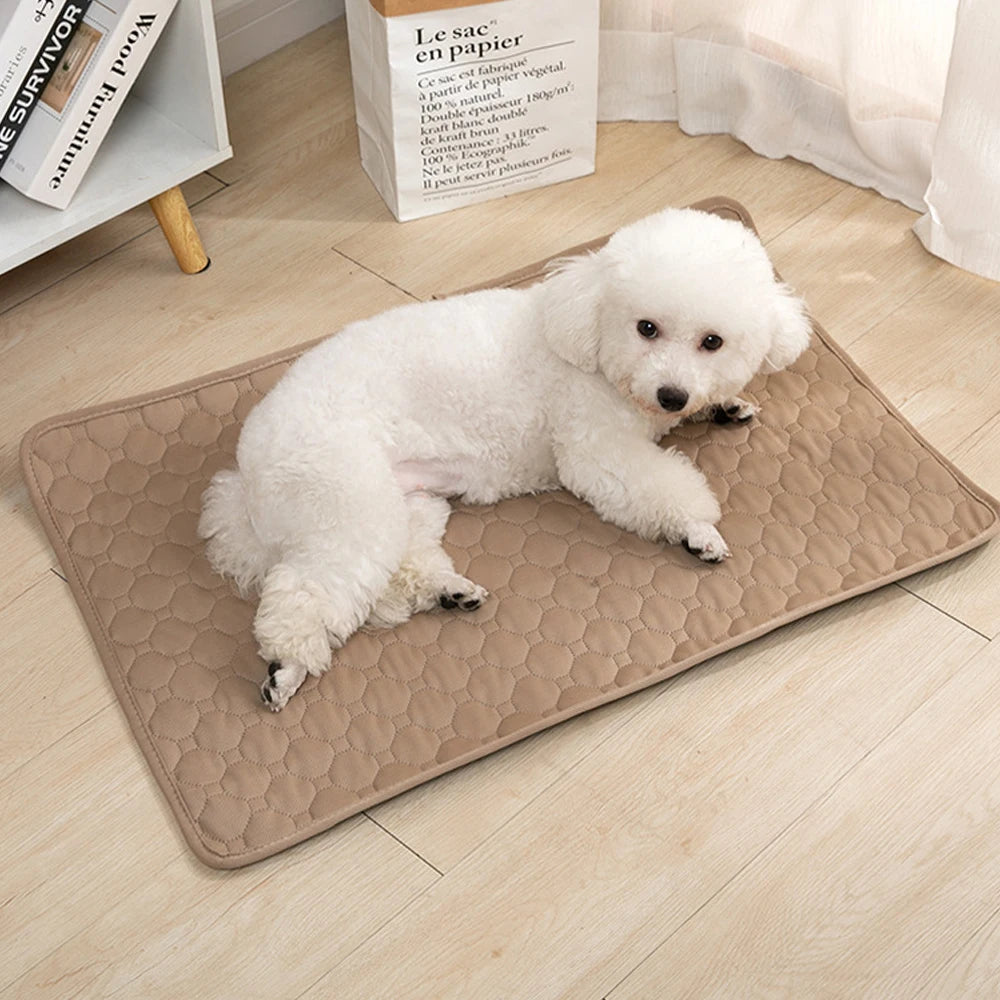 Dog Pee Pad Blanket Reusable Absorbent Diaper Washable Puppy Training Pad Pet Bed Urine Mat For Pet Car Seat Sofa Cover