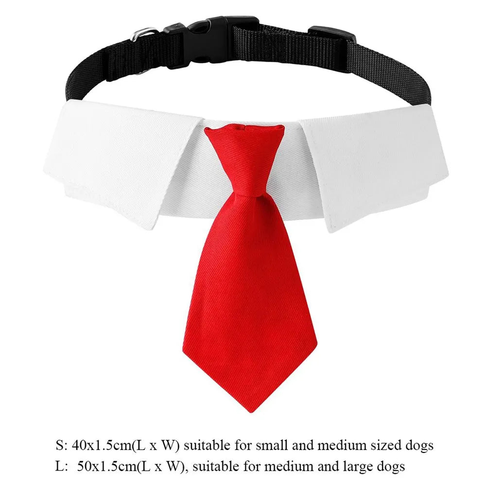 Pet Dog Cat Formal Necktie Tuxedo Bow Tie Black and Red Collar for DogSPECIFICATIONSBrand Name: NoEnName_NullMaterial: 100% CottonOrigin: Mainland ChinaCN: ShanghaiItem Type: Tie &amp; Bow TieSet Type: noType: DogsMaterial:: CottonColoShopDoggieworksShopDoggieworksPet Dog Cat Formal Necktie Tuxedo Bow Tie Black