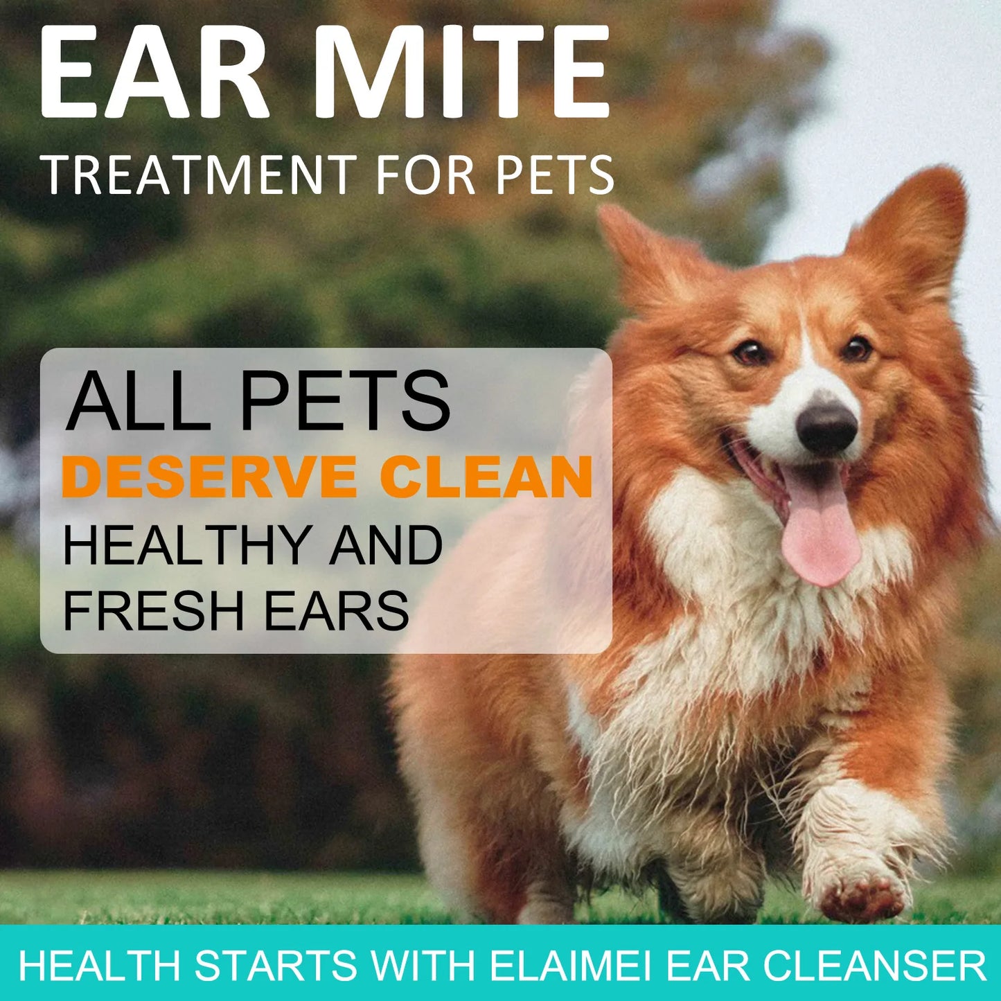 50ml Pet Aloe Ear Cleanser Remove Earwax ANTI-FUNGAL NON-IRRITATING Ear Cleaning Products for Cats and Dogs