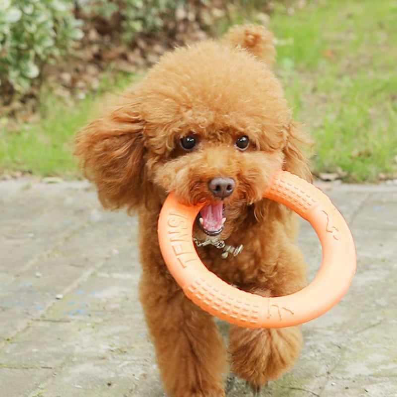 Dog Toys Pet Flying Disk Training Ring Puller Anti-Bite Floating Interactive Supplies Dog Toys Aggressive Chewing