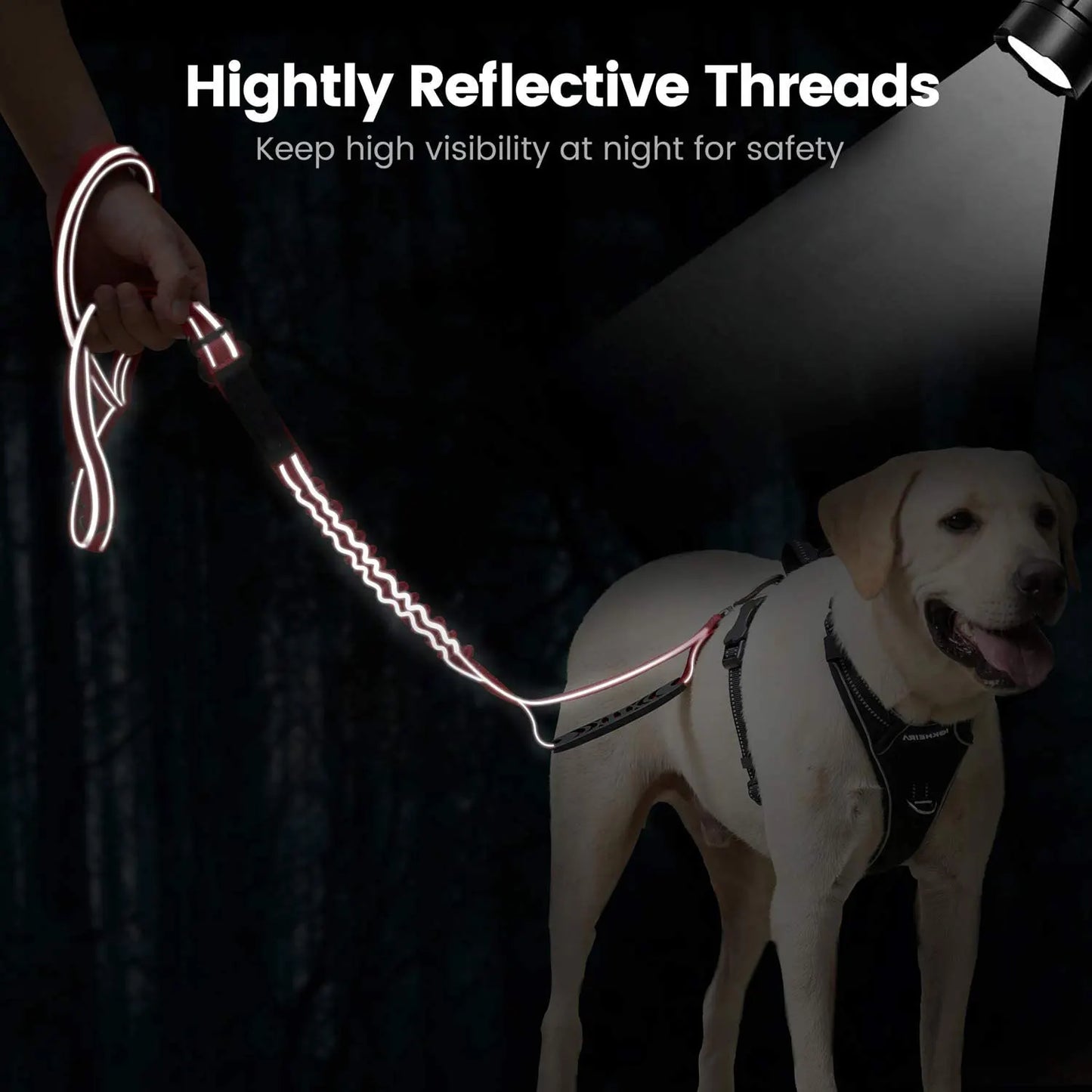 Pet Dog Leash Double Handle Reflective Multifunction Dog Harness Leash Running Dog Leashes Comfort Freedom Pet Accessories