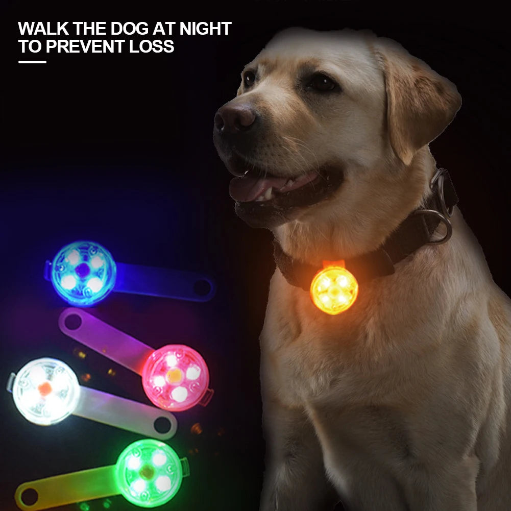 Dogs Collars Anti Loss Pendant Waterproof Safety LED Flashing Light USB Rechargeable LED Light Pendant For Dogs Cats Pets