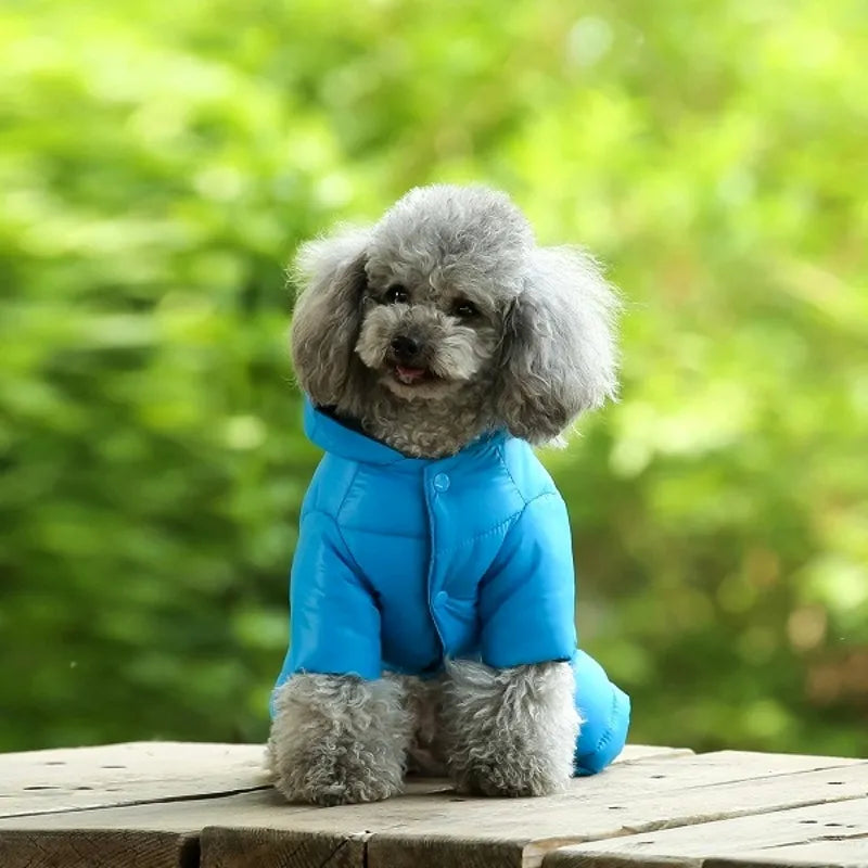 Winter Warm Down Dog Jacket Pet Dogs Costume Puppy Light-weight Four Legs Hoodie Coat Clothes For Teddy Bear Big Combinaison Ski