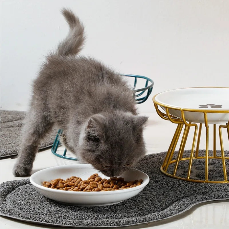 Cat Lift Bowl with Metal Stand Pet Ceramic Food Snacks Feeding Elevated Feeder Kitten Puppy Dish Dog Supplies Accessories Doggie