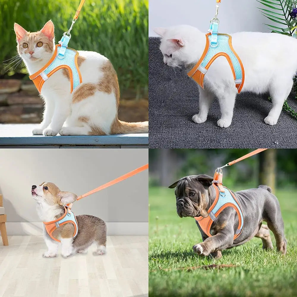 Pet Dog harness and leash set Reflective Breathable Harness Dog Adjustable Comfort Puppy harness outdoors travel Pet Supplies