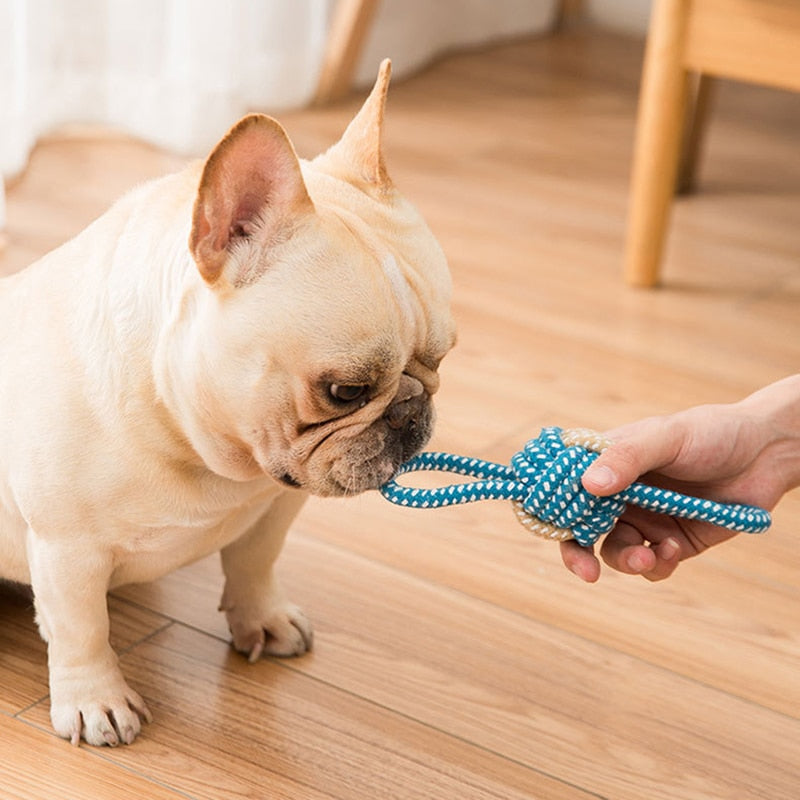 Interactive Cotton Rope Mini Dog Toys Ball for Dogs Accessories ToothbSPECIFICATIONScategory: pet toyType: DogsToys Type: Chew ToysToy Type: Chew ToysSet Type: noProduct Category: Chewing toyOrigin: Mainland ChinaMaterial: Cotton ropeM0ShopDoggieworksShopDoggieworksInteractive Cotton Rope Mini Dog Toys Ball