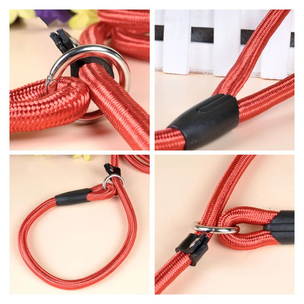 Pet Puppy Dog Leash Slip Rope Lead Leash Nylon Slip Chains Collar No PSPECIFICATIONSBrand Name: NoEnName_NullType: LeashesDog Leash Type: Basic Leashesis_customized: YESMaterial: nylonIs Smart Device: noOrigin: Mainland ChinaCN: ZhejiaShopDoggieworksShopDoggieworksPet Puppy Dog Leash Slip Rope Lead Leash Nylon Slip Chains Collar