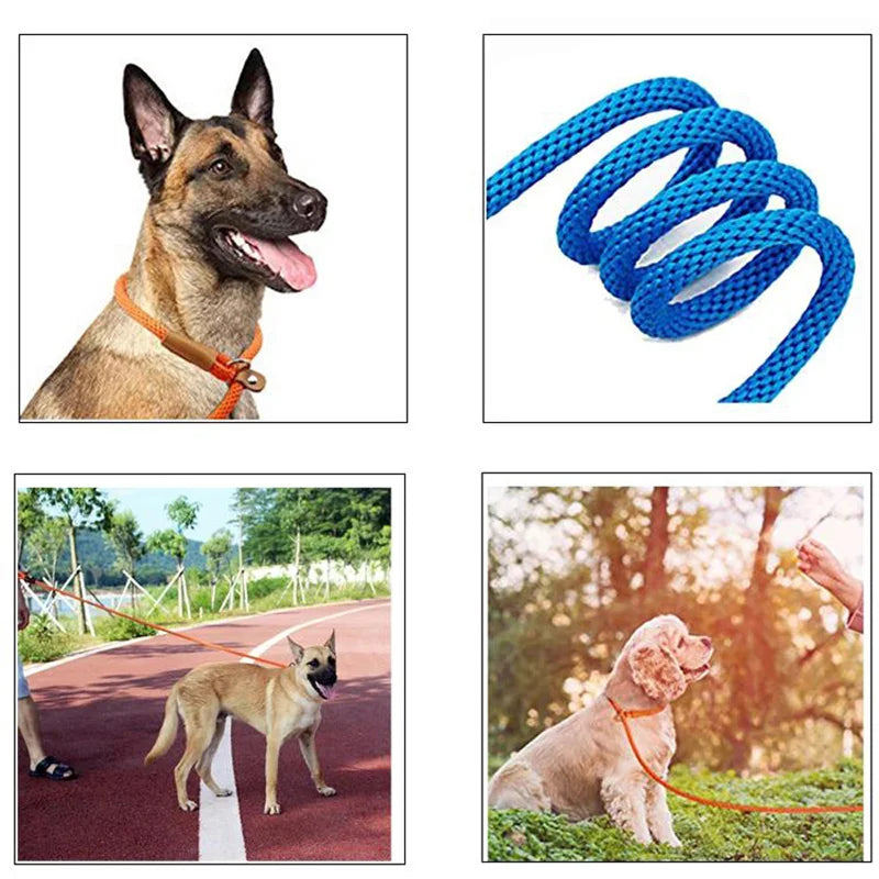 P Chain Durable Nylon Slip Rope Dog Leash Collar 2 In 1 Adjustable Loop Collar Comfortable Meidum Large Pet Harness Leash