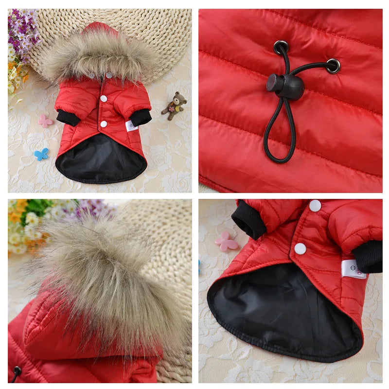 Dog Coat Small Dog Jacket Windproof Warm Padded Down Hoodie Snowsuit Fashion Winter Dog Clothes for Cat Puppy Chihuahua Yorkie