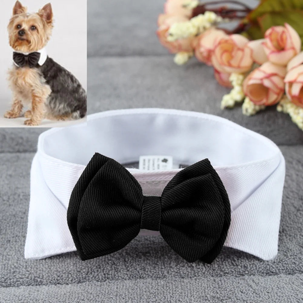 1PC Pets Puppy Dogs Cats Adjustable Bow Tie Collar Necktie Bowknot BowSPECIFICATIONSBrand Name: NoEnName_NullMaterial: PolyesterOrigin: Mainland ChinaCN: HubeiItem Type: Tie &amp; Bow TieSet Type: noType: Dogs
1PC Pets Puppy Dogs Cats ShopDoggieworksShopDoggieworks1PC Pets Puppy Dogs Cats Adjustable Bow Tie Collar Necktie Bowknot Bowtie Holiday Wedding Decoration Grooming Accessories