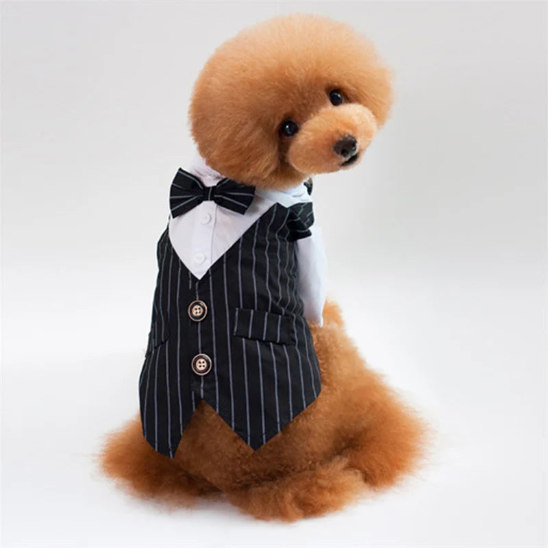 Dog Shirt Stylish Suit Pet Small Dog Clothes Bow Tie Wedding Shirt CosSPECIFICATIONSBrand Name: NoEnName_NullOrigin: Mainland ChinaCN: ZhejiangSeason: All seasonsMaterial: PolyesterType: Dogs

 94121
 
 HOT SALES
 
 
 
 
 
 
 
 
 
 
 
ShopDoggieworksShopDoggieworksDog Shirt Stylish Suit Pet Small Dog Clothes Bow Tie Wedding Shirt Costume Formal Tuxedo