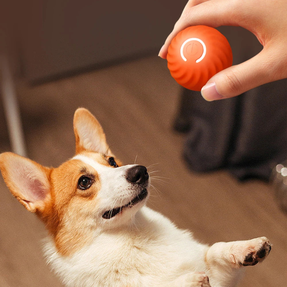 Smart Dog Toy Ball Automatic Moving Bouncing Rolling Ball Electronic Interactive Pet Toy for Puppy Birthday Gift Dog Cat Product